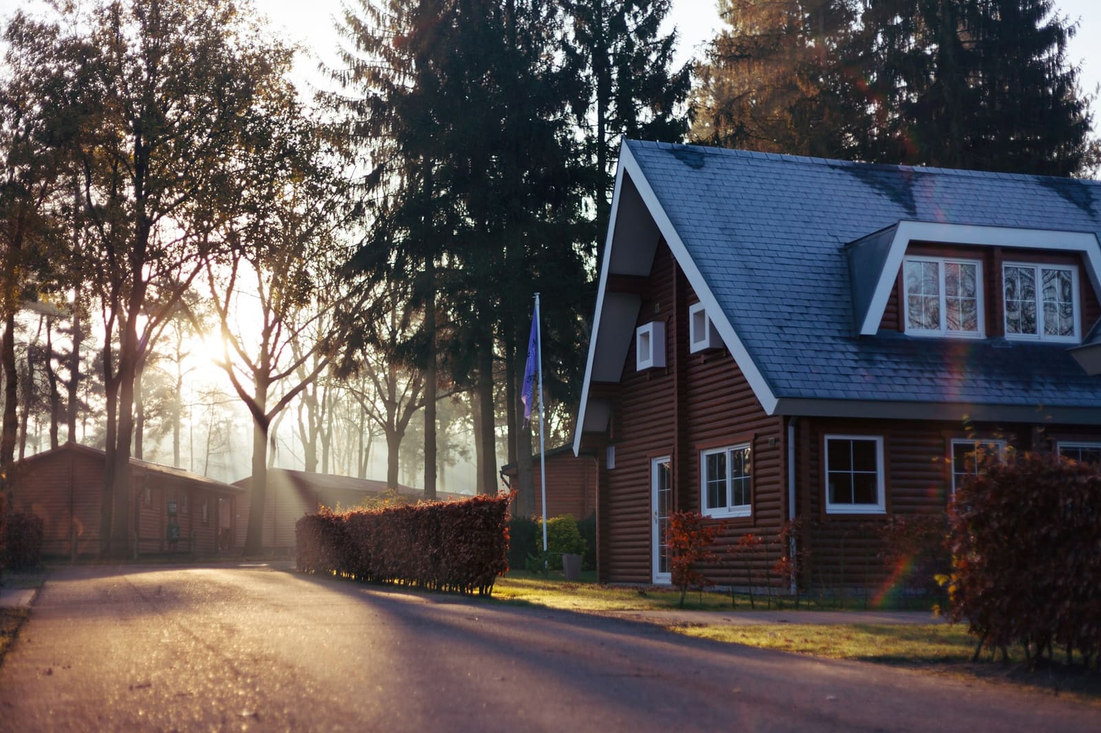 Wood-sided cottage among tall pine trees in morning light